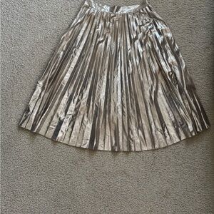 Zara Silver Gold Midi A-Line Pleated Skirt